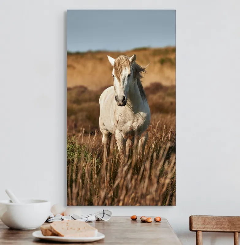 Tablou Canvas, "Un cal alb în sălbăticie", Alb, Cal, Iarbă, Natura, Cer, Dealuri, Liniște, Peisaj, Eleganță, Libertate, 50 x 90 cm – poza 3