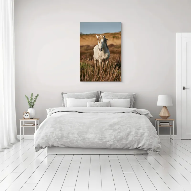Tablou Canvas, "Un cal alb în sălbăticie", Alb, Cal, Iarbă, Natura, Cer, Dealuri, Liniște, Peisaj, Eleganță, Libertate, 70 x 100 cm – poza 3