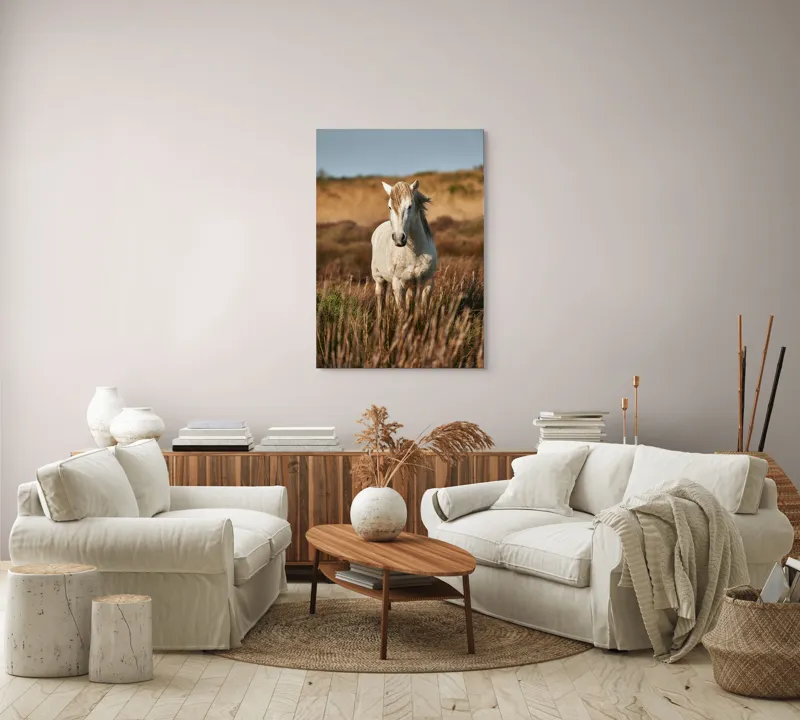 Tablou Canvas, "Un cal alb în sălbăticie", Alb, Cal, Iarbă, Natura, Cer, Dealuri, Liniște, Peisaj, Eleganță, Libertate, 70 x 100 cm – poza 4