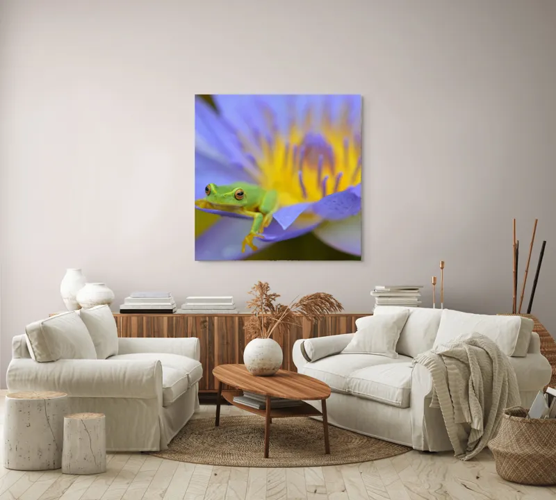 Tablou Canvas, "Broasca verde pe floare violetă", Floare, Broască, Violet, Galben, Petale, Natură, Contrast, Frumusețe, Delicatețe, Culoare., 100 x 100 cm – poza 3