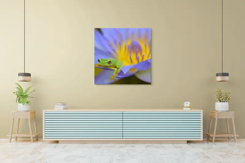 Tablou Canvas, "Broasca verde pe floare violetă", Floare, Broască, Violet, Galben, Petale, Natură, Contrast, Frumusețe, Delicatețe, Culoare., 100 x 100 cm – poza 5