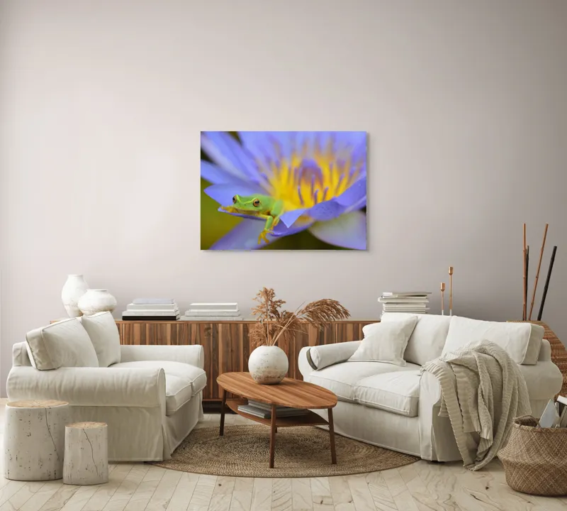 Tablou Canvas, "Broasca verde pe floare violetă", Floare, Broască, Violet, Galben, Petale, Natură, Contrast, Frumusețe, Delicatețe, Culoare., 100 x 70 cm – poza 3