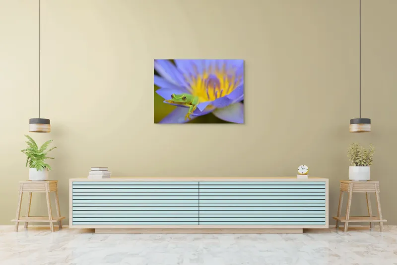 Tablou Canvas, "Broasca verde pe floare violetă", Floare, Broască, Violet, Galben, Petale, Natură, Contrast, Frumusețe, Delicatețe, Culoare., 100 x 70 cm – poza 4