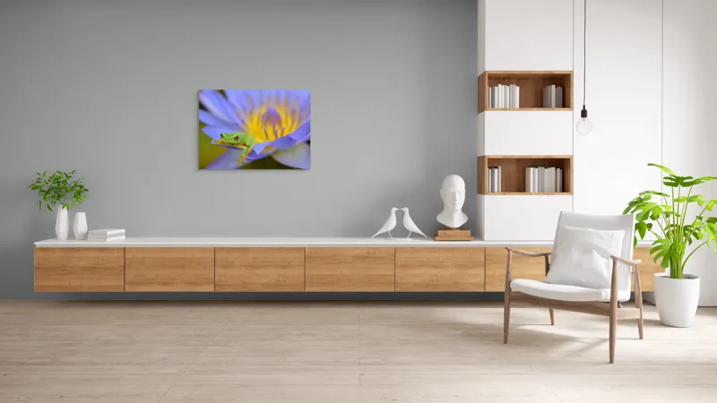 Tablou Canvas, "Broasca verde pe floare violetă", Floare, Broască, Violet, Galben, Petale, Natură, Contrast, Frumusețe, Delicatețe, Culoare., 100 x 70 cm – poza 6