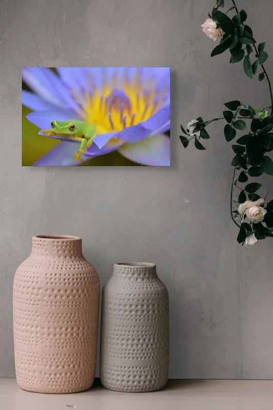 Tablou Canvas, "Broasca verde pe floare violetă", Floare, Broască, Violet, Galben, Petale, Natură, Contrast, Frumusețe, Delicatețe, Culoare., 39 x 26 cm – poza 4
