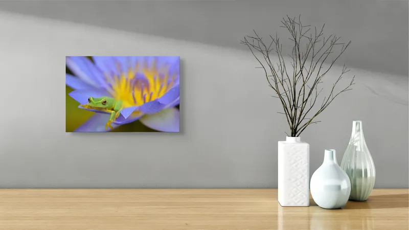 Tablou Canvas, "Broasca verde pe floare violetă", Floare, Broască, Violet, Galben, Petale, Natură, Contrast, Frumusețe, Delicatețe, Culoare., 39 x 26 cm – poza 8