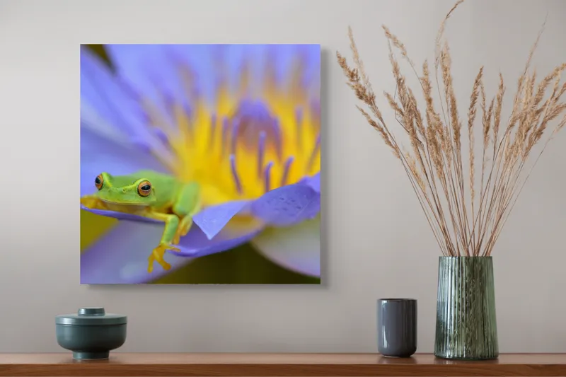Tablou Canvas, "Broasca verde pe floare violetă", Floare, Broască, Violet, Galben, Petale, Natură, Contrast, Frumusețe, Delicatețe, Culoare., 50 x 50 cm – poza 4
