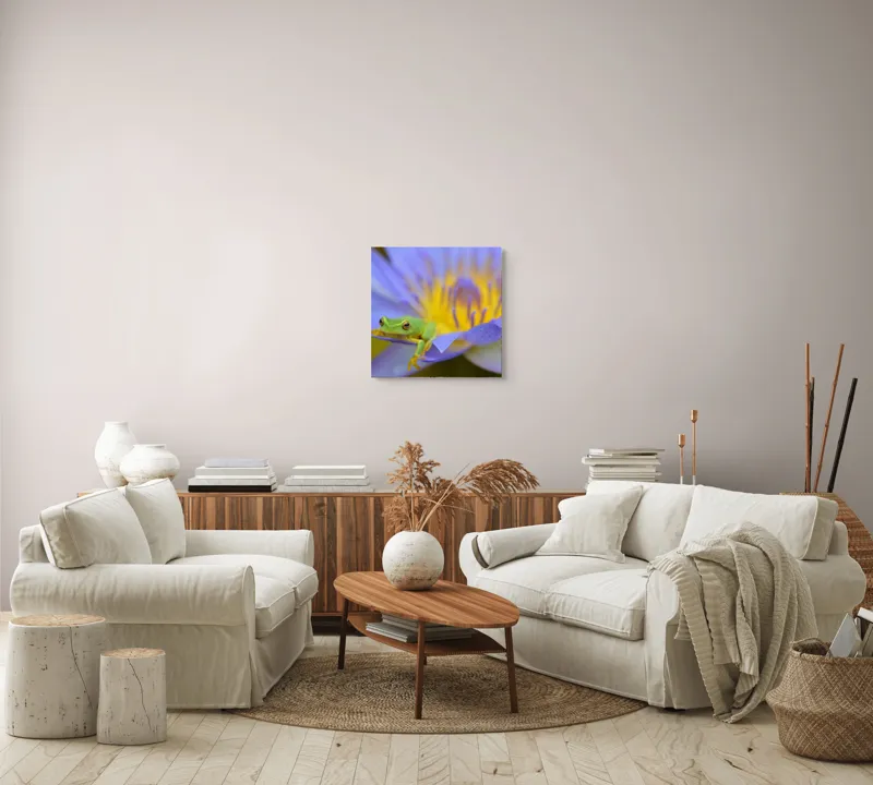 Tablou Canvas, "Broasca verde pe floare violetă", Floare, Broască, Violet, Galben, Petale, Natură, Contrast, Frumusețe, Delicatețe, Culoare., 50 x 50 cm – poza 7