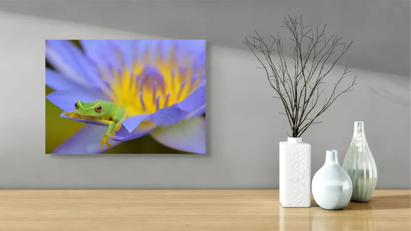 Tablou Canvas, "Broasca verde pe floare violetă", Floare, Broască, Violet, Galben, Petale, Natură, Contrast, Frumusețe, Delicatețe, Culoare., 54 x 39 cm – poza 3