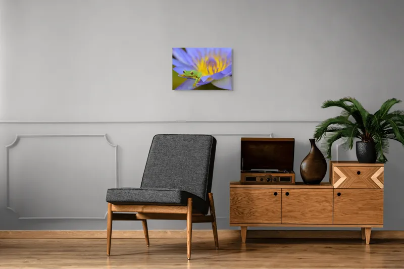 Tablou Canvas, "Broasca verde pe floare violetă", Floare, Broască, Violet, Galben, Petale, Natură, Contrast, Frumusețe, Delicatețe, Culoare., 54 x 39 cm – poza 7
