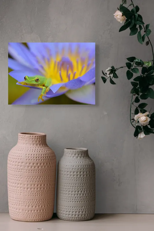 Tablou Canvas, "Broasca verde pe floare violetă", Floare, Broască, Violet, Galben, Petale, Natură, Contrast, Frumusețe, Delicatețe, Culoare., 54 x 39 cm – poza 8