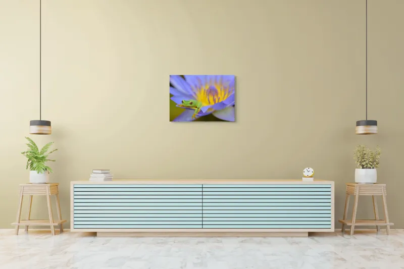 Tablou Canvas, "Broasca verde pe floare violetă", Floare, Broască, Violet, Galben, Petale, Natură, Contrast, Frumusețe, Delicatețe, Culoare., 70 x 50 cm – poza 7