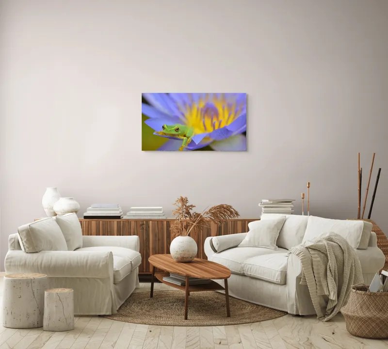 Tablou Canvas, "Broasca verde pe floare violetă", Floare, Broască, Violet, Galben, Petale, Natură, Contrast, Frumusețe, Delicatețe, Culoare., 90 x 50 cm – poza 4