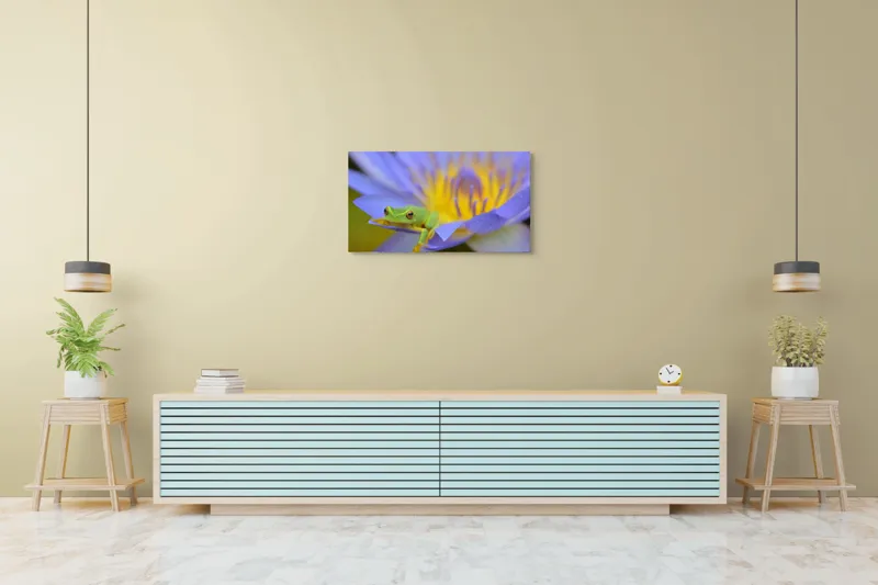 Tablou Canvas, "Broasca verde pe floare violetă", Floare, Broască, Violet, Galben, Petale, Natură, Contrast, Frumusețe, Delicatețe, Culoare., 90 x 50 cm – poza 5