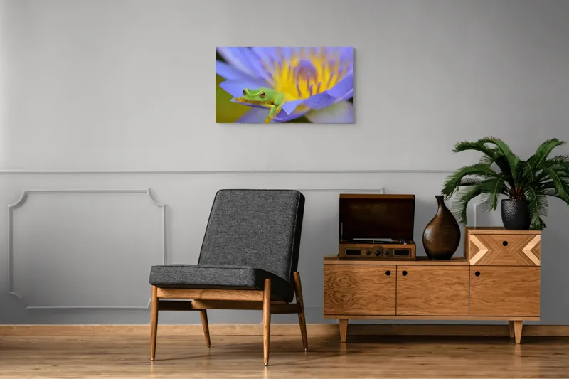 Tablou Canvas, "Broasca verde pe floare violetă", Floare, Broască, Violet, Galben, Petale, Natură, Contrast, Frumusețe, Delicatețe, Culoare., 90 x 50 cm – poza 6