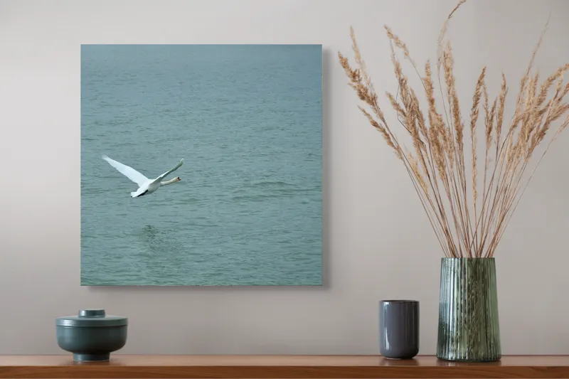 Tablou Canvas, "Liniștea unui zbor solitar", Grațiozitate, Libertate, Natură, Liniște, Reflecție, Zbor, Serenitate, 50 x 50 cm – poza 4