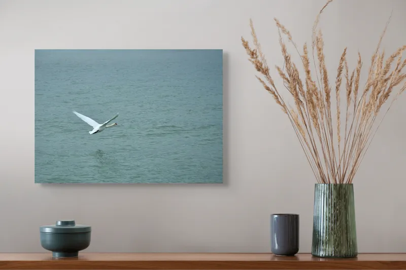 Tablou Canvas, "Liniștea unui zbor solitar", Grațiozitate, Libertate, Natură, Liniște, Reflecție, Zbor, Serenitate, 54 x 39 cm – poza 4