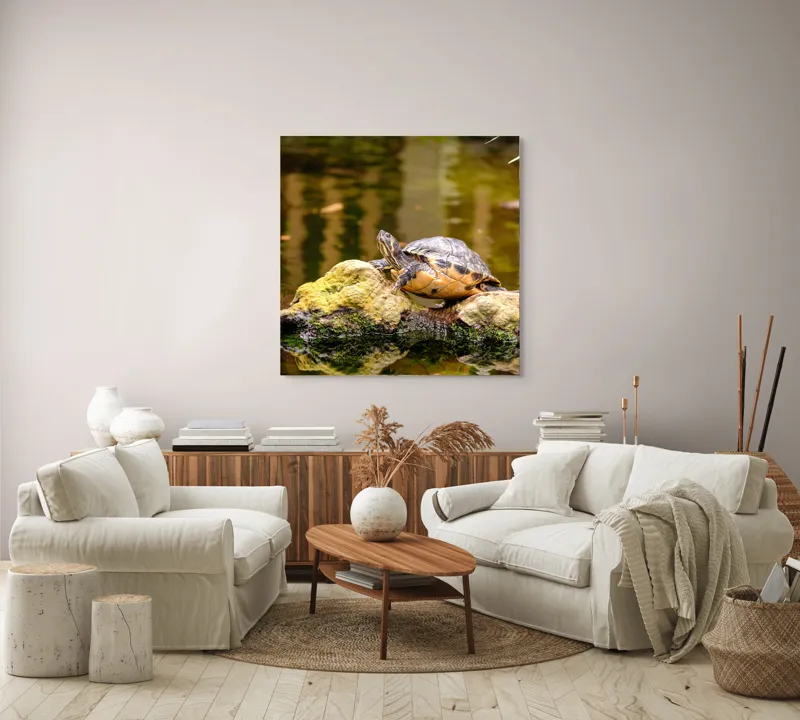 Tablou Canvas, "Broasca țestoasă pe piatra însorită", Broască Țestoasă, Stâncă, Apă, Reflecții, Natură, Culori, Pacea., 100 x 100 cm – poza 3