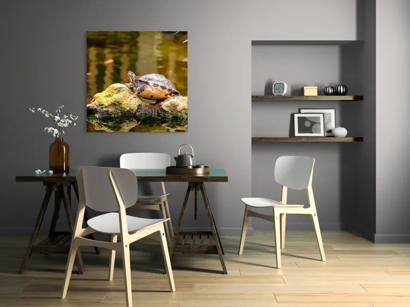 Tablou Canvas, "Broasca țestoasă pe piatra însorită", Broască Țestoasă, Stâncă, Apă, Reflecții, Natură, Culori, Pacea., 100 x 100 cm – poza 6