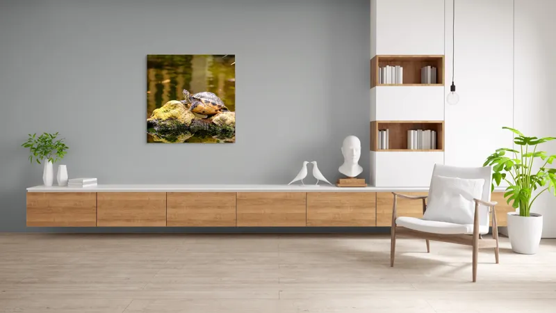 Tablou Canvas, "Broasca țestoasă pe piatra însorită", Broască Țestoasă, Stâncă, Apă, Reflecții, Natură, Culori, Pacea., 100 x 100 cm – poza 8