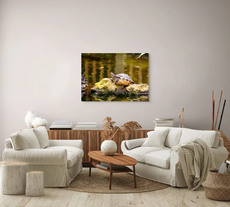 Tablou Canvas, "Broasca țestoasă pe piatra însorită", Broască Țestoasă, Stâncă, Apă, Reflecții, Natură, Culori, Pacea., 100 x 70 cm – poza 3