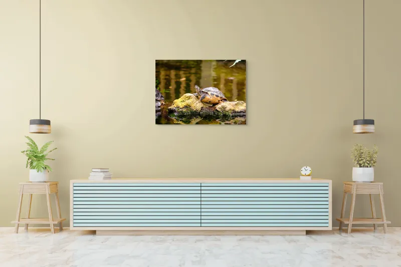 Tablou Canvas, "Broasca țestoasă pe piatra însorită", Broască Țestoasă, Stâncă, Apă, Reflecții, Natură, Culori, Pacea., 100 x 70 cm – poza 4