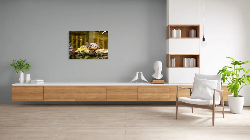 Tablou Canvas, "Broasca țestoasă pe piatra însorită", Broască Țestoasă, Stâncă, Apă, Reflecții, Natură, Culori, Pacea., 100 x 70 cm – poza 6