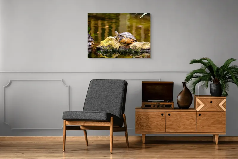 Tablou Canvas, "Broasca țestoasă pe piatra însorită", Broască Țestoasă, Stâncă, Apă, Reflecții, Natură, Culori, Pacea., 100 x 70 cm – poza 8
