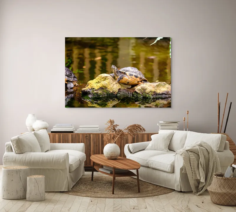 Tablou Canvas, "Broasca țestoasă pe piatra însorită", Broască Țestoasă, Stâncă, Apă, Reflecții, Natură, Culori, Pacea., 150 x 100 cm – poza 3