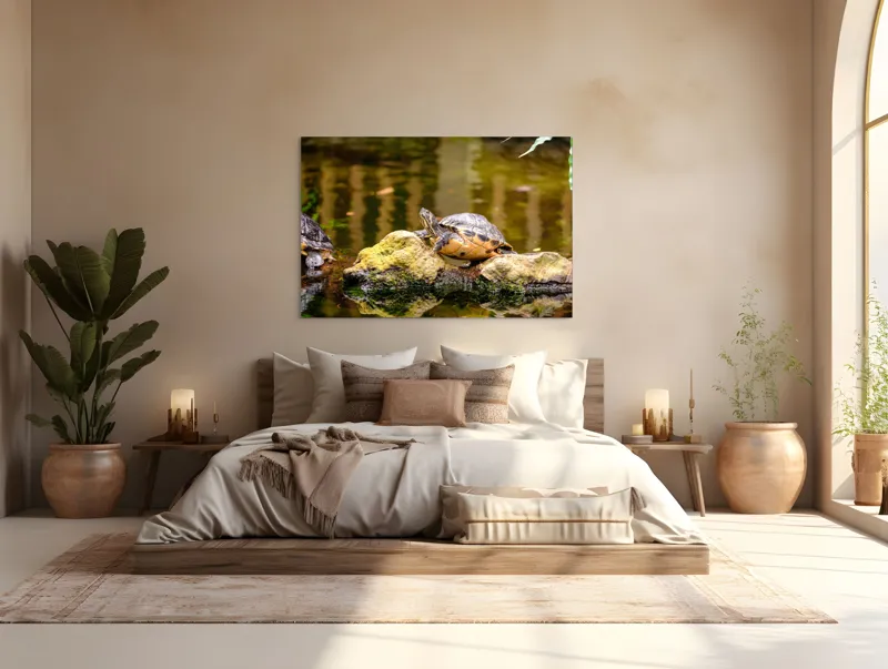 Tablou Canvas, "Broasca țestoasă pe piatra însorită", Broască Țestoasă, Stâncă, Apă, Reflecții, Natură, Culori, Pacea., 150 x 100 cm – poza 4