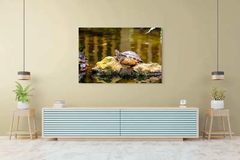 Tablou Canvas, "Broasca țestoasă pe piatra însorită", Broască Țestoasă, Stâncă, Apă, Reflecții, Natură, Culori, Pacea., 150 x 100 cm – poza 6