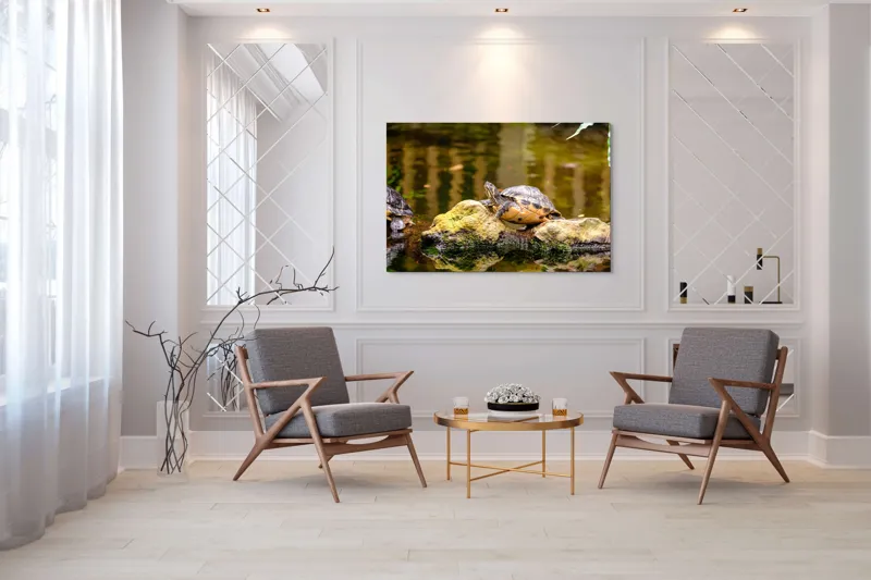 Tablou Canvas, "Broasca țestoasă pe piatra însorită", Broască Țestoasă, Stâncă, Apă, Reflecții, Natură, Culori, Pacea., 150 x 100 cm – poza 7