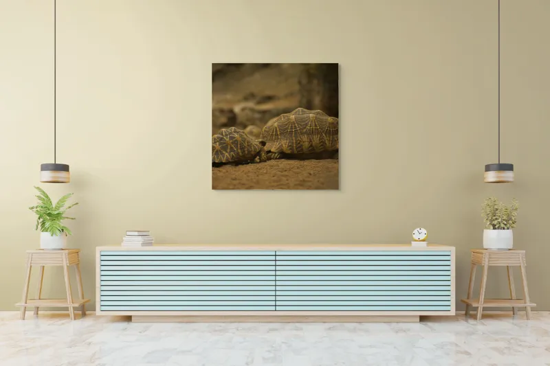 Tablou Canvas, "Țestoasele în căutarea soarelui", Țestoase, Nisip, Carapace, Model, Natură, Reptile, Tranquilitate, Pământiu, Detaliu., 100 x 100 cm – poza 5
