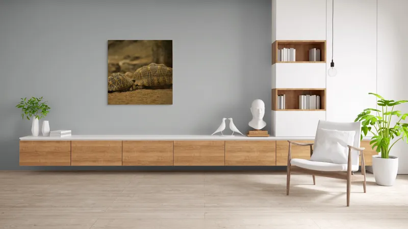 Tablou Canvas, "Țestoasele în căutarea soarelui", Țestoase, Nisip, Carapace, Model, Natură, Reptile, Tranquilitate, Pământiu, Detaliu., 100 x 100 cm – poza 8