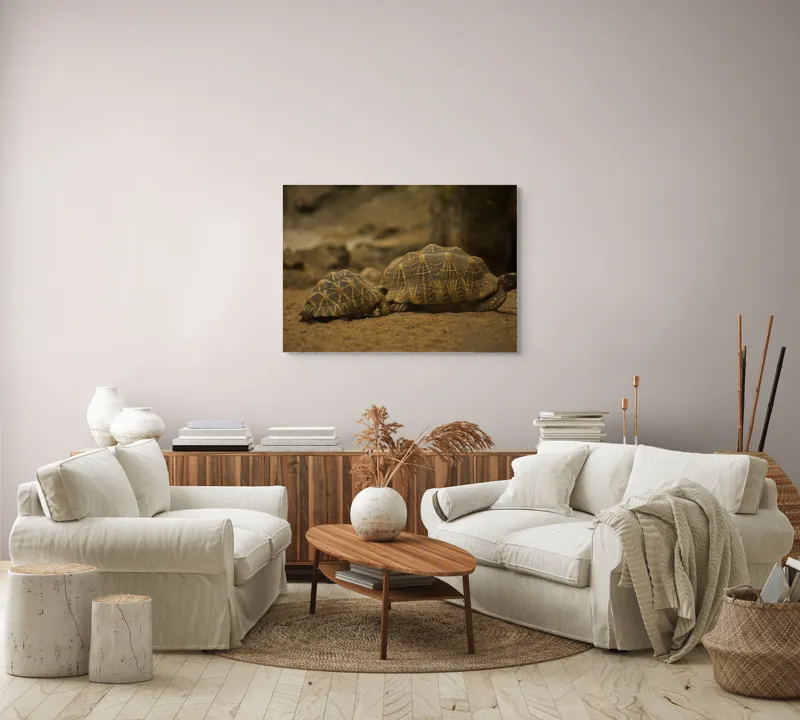 Tablou Canvas, "Țestoasele în căutarea soarelui", Țestoase, Nisip, Carapace, Model, Natură, Reptile, Tranquilitate, Pământiu, Detaliu., 100 x 70 cm – poza 3