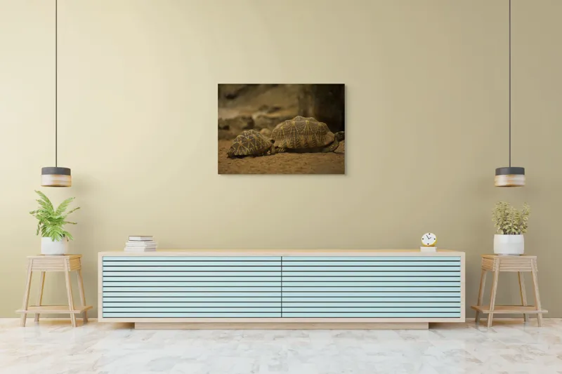 Tablou Canvas, "Țestoasele în căutarea soarelui", Țestoase, Nisip, Carapace, Model, Natură, Reptile, Tranquilitate, Pământiu, Detaliu., 100 x 70 cm – poza 4