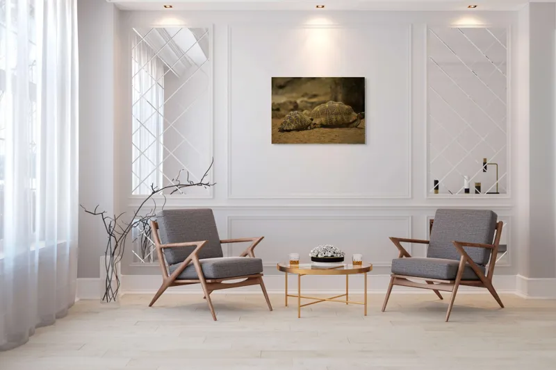 Tablou Canvas, "Țestoasele în căutarea soarelui", Țestoase, Nisip, Carapace, Model, Natură, Reptile, Tranquilitate, Pământiu, Detaliu., 100 x 70 cm – poza 5