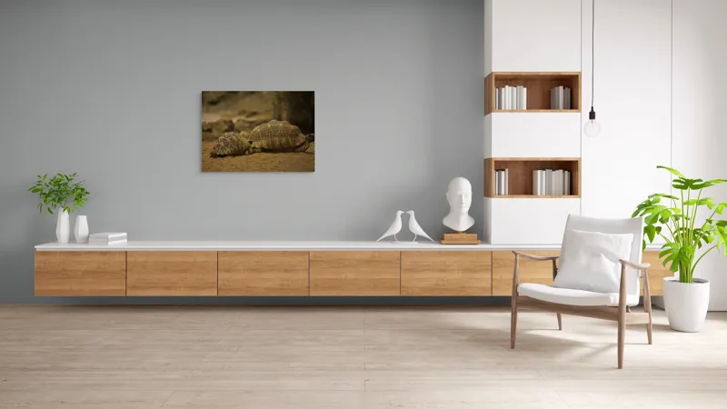 Tablou Canvas, "Țestoasele în căutarea soarelui", Țestoase, Nisip, Carapace, Model, Natură, Reptile, Tranquilitate, Pământiu, Detaliu., 100 x 70 cm – poza 6