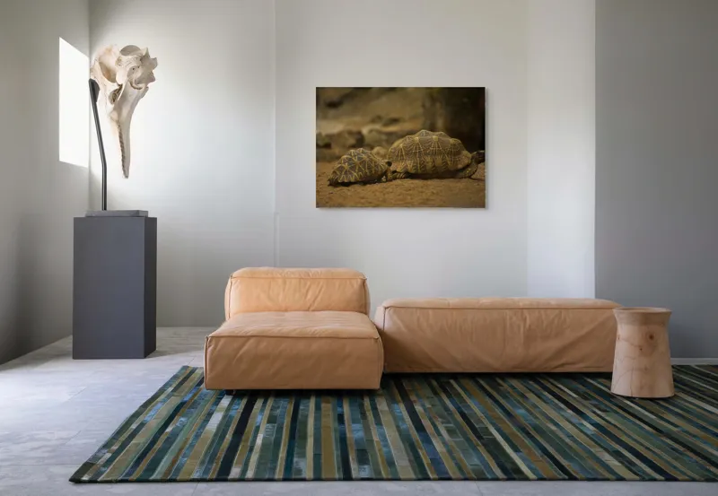 Tablou Canvas, "Țestoasele în căutarea soarelui", Țestoase, Nisip, Carapace, Model, Natură, Reptile, Tranquilitate, Pământiu, Detaliu., 100 x 70 cm – poza 7