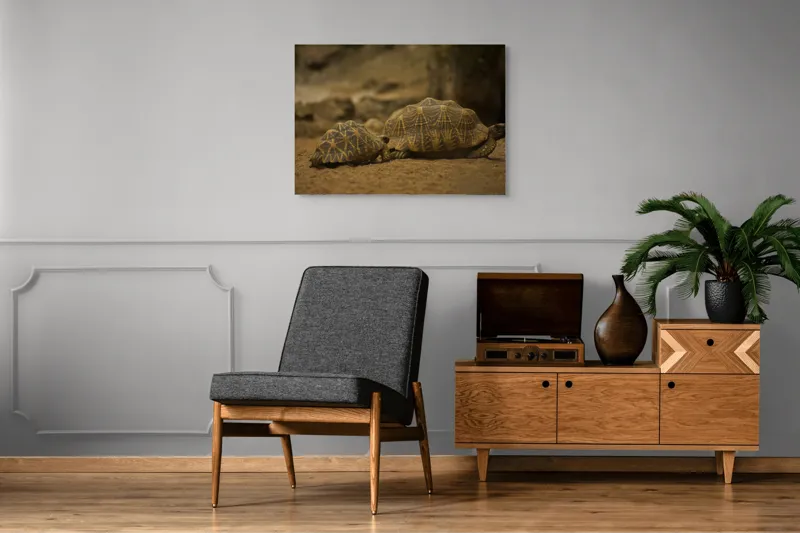 Tablou Canvas, "Țestoasele în căutarea soarelui", Țestoase, Nisip, Carapace, Model, Natură, Reptile, Tranquilitate, Pământiu, Detaliu., 100 x 70 cm – poza 8