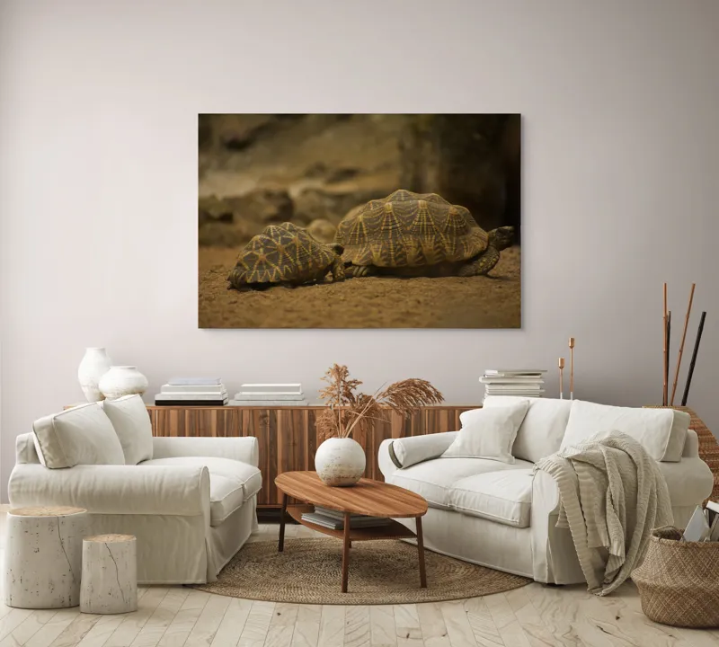 Tablou Canvas, "Țestoasele în căutarea soarelui", Țestoase, Nisip, Carapace, Model, Natură, Reptile, Tranquilitate, Pământiu, Detaliu., 150 x 100 cm – poza 3