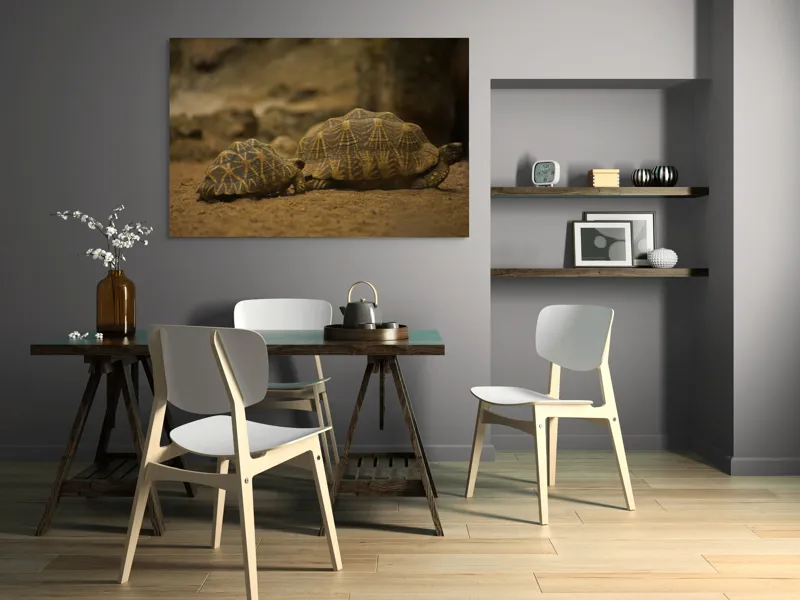 Tablou Canvas, "Țestoasele în căutarea soarelui", Țestoase, Nisip, Carapace, Model, Natură, Reptile, Tranquilitate, Pământiu, Detaliu., 150 x 100 cm – poza 5