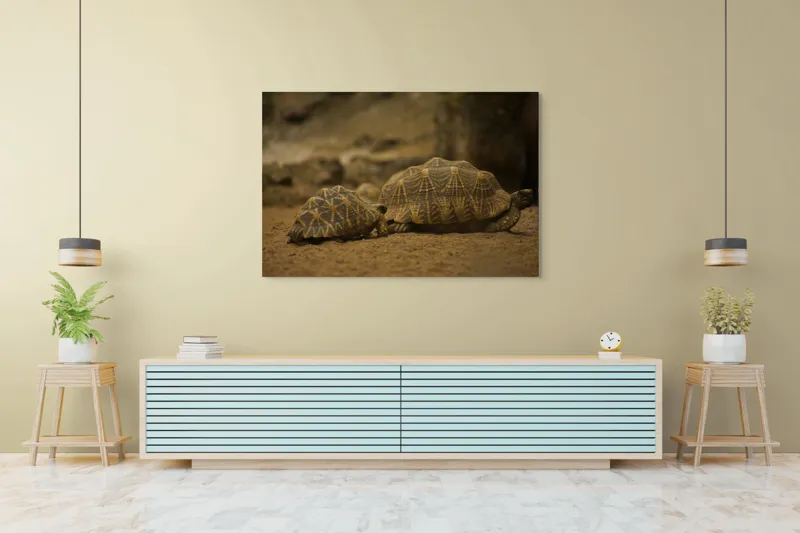 Tablou Canvas, "Țestoasele în căutarea soarelui", Țestoase, Nisip, Carapace, Model, Natură, Reptile, Tranquilitate, Pământiu, Detaliu., 150 x 100 cm – poza 6