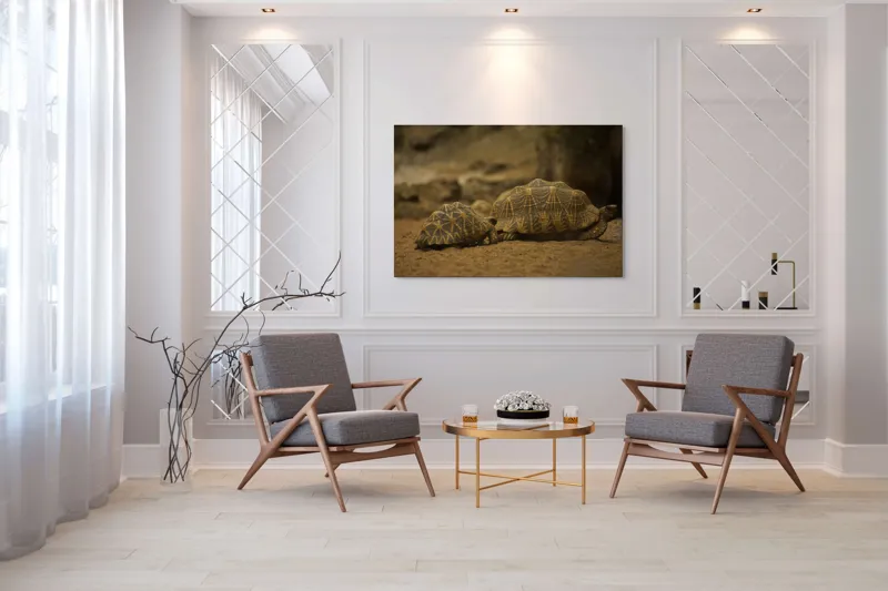 Tablou Canvas, "Țestoasele în căutarea soarelui", Țestoase, Nisip, Carapace, Model, Natură, Reptile, Tranquilitate, Pământiu, Detaliu., 150 x 100 cm – poza 7