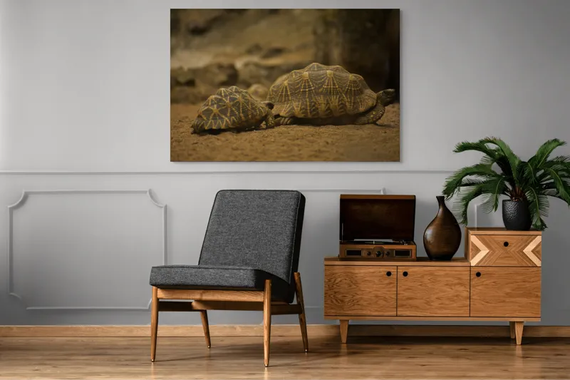 Tablou Canvas, "Țestoasele în căutarea soarelui", Țestoase, Nisip, Carapace, Model, Natură, Reptile, Tranquilitate, Pământiu, Detaliu., 150 x 100 cm – poza 8