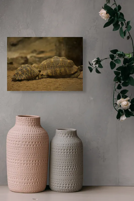 Tablou Canvas, "Țestoasele în căutarea soarelui", Țestoase, Nisip, Carapace, Model, Natură, Reptile, Tranquilitate, Pământiu, Detaliu., 54 x 39 cm – poza 8