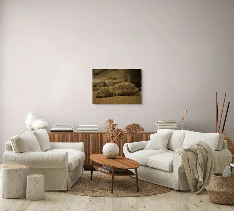 Tablou Canvas, "Țestoasele în căutarea soarelui", Țestoase, Nisip, Carapace, Model, Natură, Reptile, Tranquilitate, Pământiu, Detaliu., 70 x 50 cm – poza 6