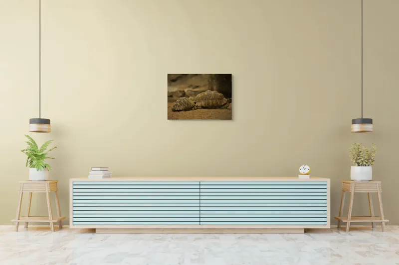 Tablou Canvas, "Țestoasele în căutarea soarelui", Țestoase, Nisip, Carapace, Model, Natură, Reptile, Tranquilitate, Pământiu, Detaliu., 70 x 50 cm – poza 7