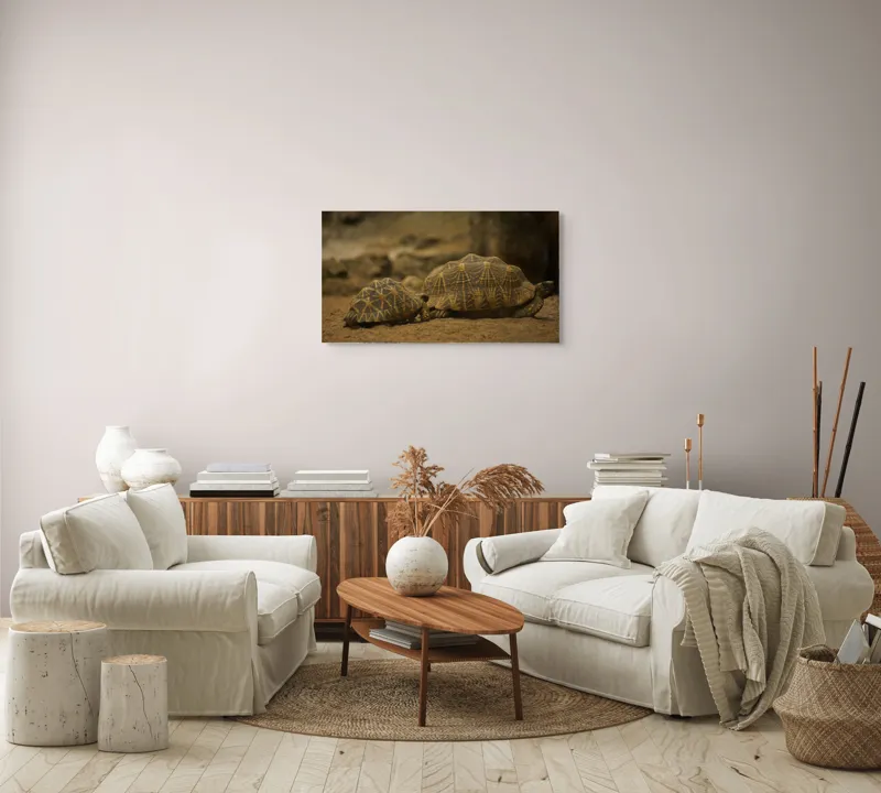Tablou Canvas, "Țestoasele în căutarea soarelui", Țestoase, Nisip, Carapace, Model, Natură, Reptile, Tranquilitate, Pământiu, Detaliu., 90 x 50 cm – poza 4