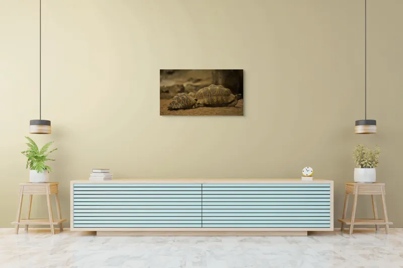 Tablou Canvas, "Țestoasele în căutarea soarelui", Țestoase, Nisip, Carapace, Model, Natură, Reptile, Tranquilitate, Pământiu, Detaliu., 90 x 50 cm – poza 5